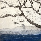 B_2 Branches 1