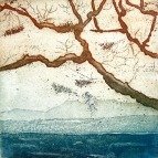 B_3 Branches 2