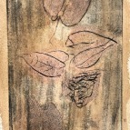 C_1 feuilles
